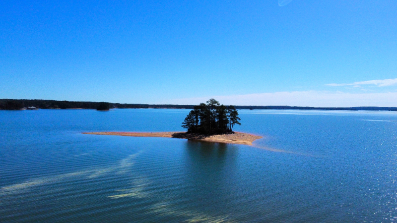 Lake Martin